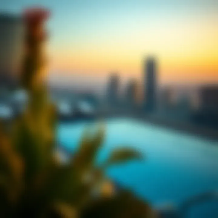 A panoramic view of the rooftop pool with city skyline