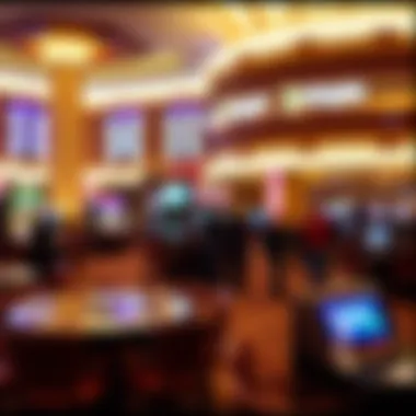 Overview of Borgata Mlife program structure